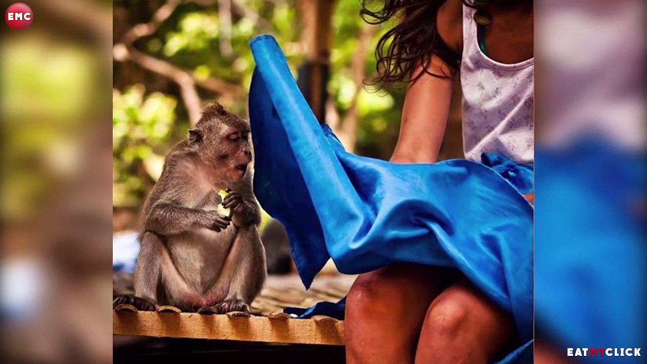 50 Funny Photos Taken At The Right Moment