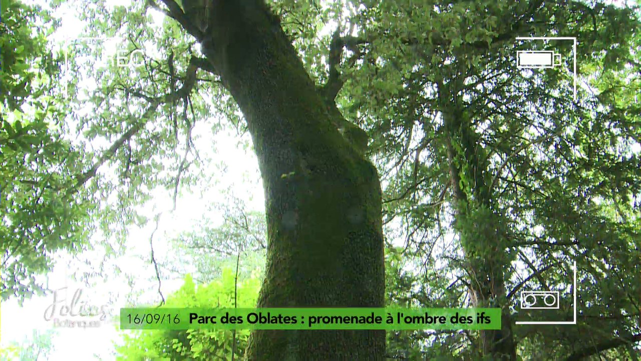 Folies Botaniques au Parc des Oblates #2