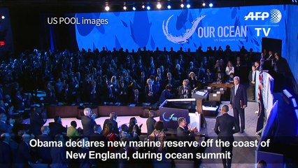 Obama declares new marine reserve at ocean summit