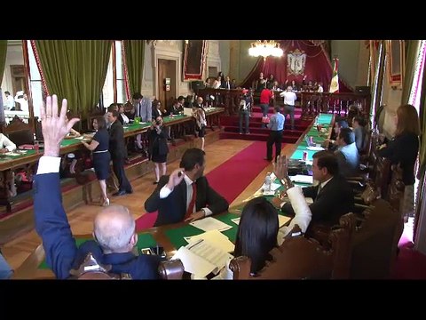 Ector - Diputados Calificados