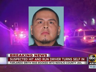 Suspect in deadly hit and run has turned himself in