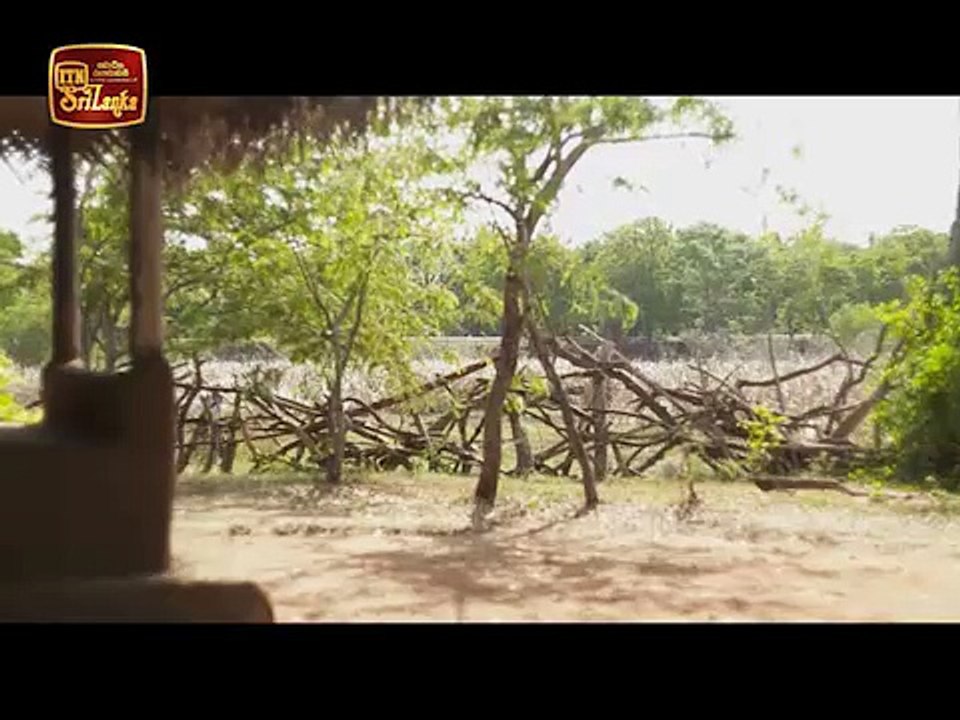 Dhada Keli Arana – Episode 13 – 2016-09-15