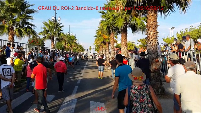 GRAU DU ROI-2 Bandido-8 taureaux 1 par 1-2016-09-12-HD+-DAILY-YOUTUBE