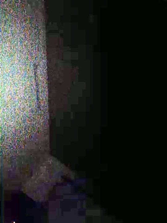 gfgh