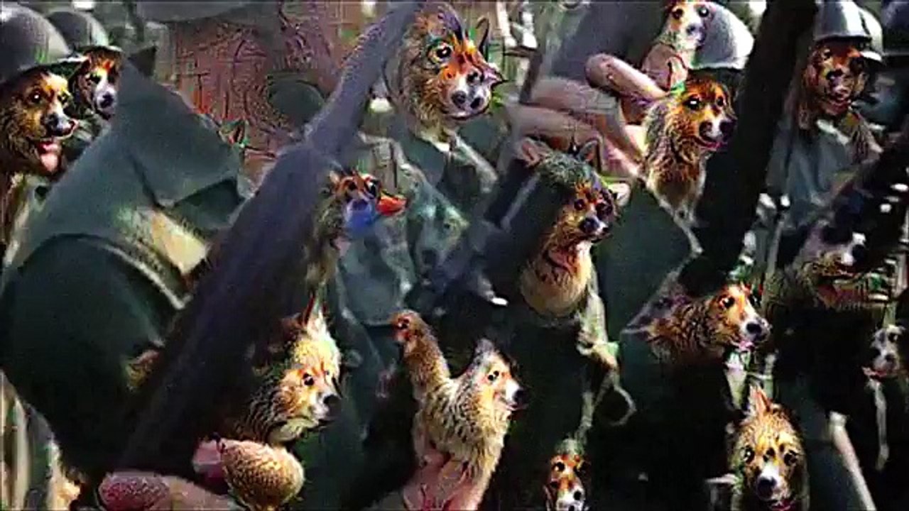 Edward Sharpe and the Magnetic Zeros -  Perfect Time  (Official Video)