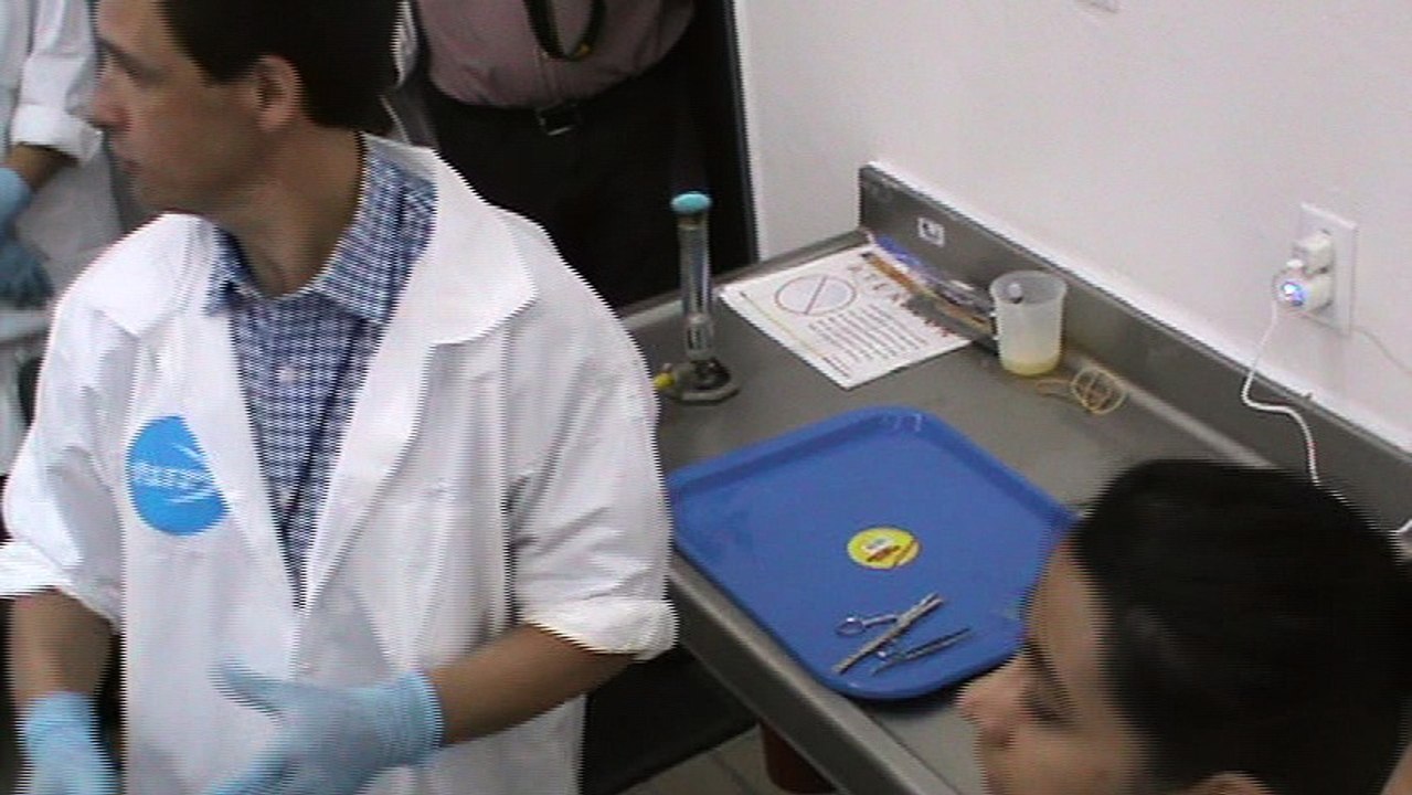 Preparativo a la toma de muestra, en patología de peces.