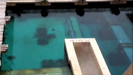 Tobogán acuático Leap of Faith