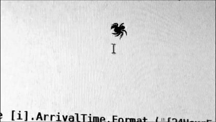 Une araignée dingue de la souris