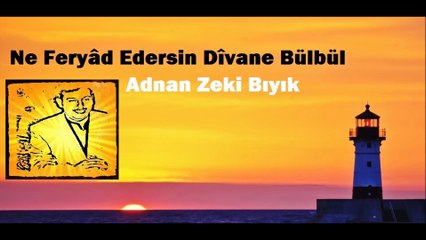 Ne Feryad Edersin Divane Bülbül-Adnan Zeki Bıyık