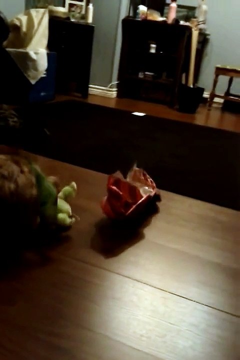 It's a Dogs Christmas 2011 part 1