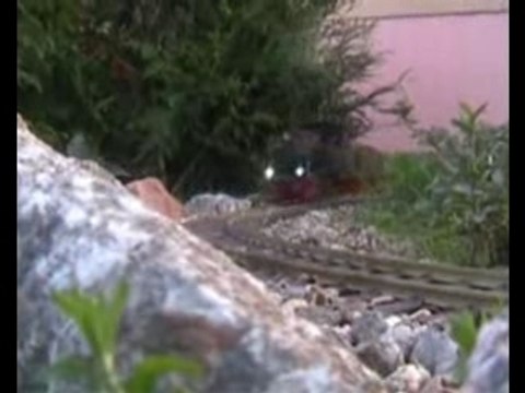 Locomotive a vapeur vive