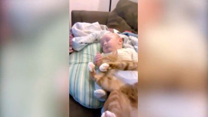 Baby Has The Best Napping Buddy