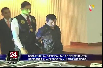 Desarticulan a siete bandas delincuenciales