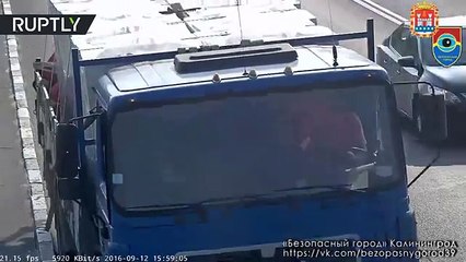 Best documentary short film Kitten stranded in front of oncoming traffic in the middle of highway