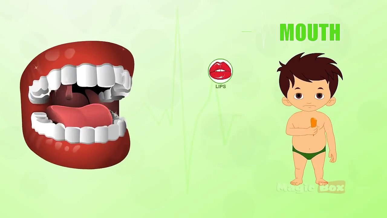 Mouth - Human Body Parts In Tamil - Pre School - Animated Videos For Kids