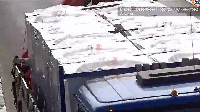 Un automobiliste s'arrête pour sauver un chaton sur l'autoroute