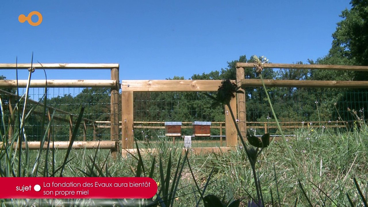 SUJET - La fondation des Evaux aura bientôt son propre miel