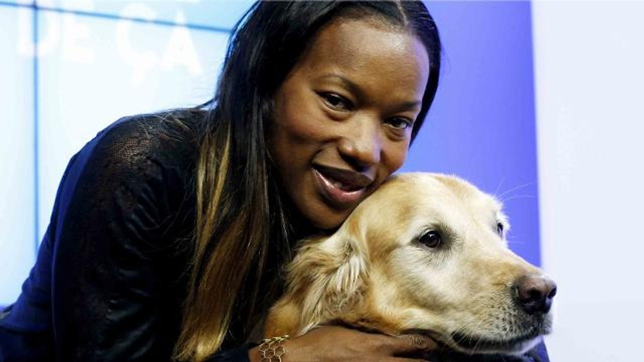 Chien guide d'aveugle : «Je peux enfin marcher la tête haute»