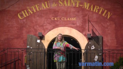 Patrimoine: découvrez la villa gallo-romaine de Taradeau