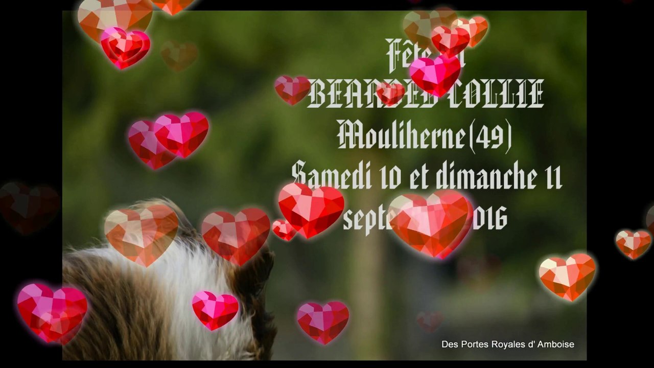 mouliherne 2016