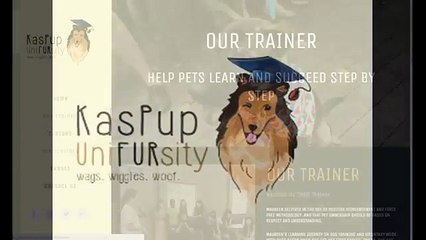 Dog behaviour modification training Singapore