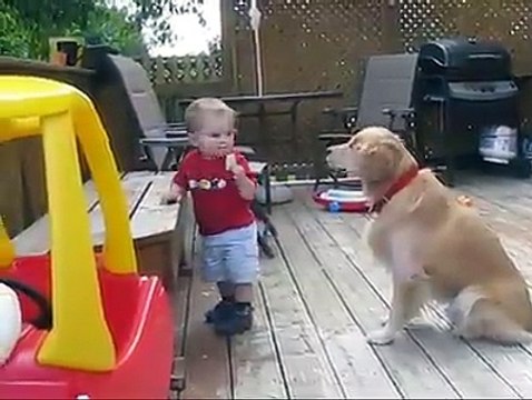 Bimbo Imbocca il Suo Amico a 4 Zampe, un Momento di Infinita Dolcezza!