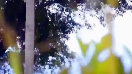 Un misterioso avvistamento UFO ripreso dai cittadini increduli