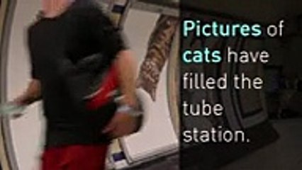 Cat pictures replace adverts at London tube station
