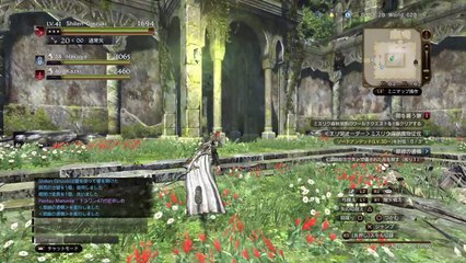 ドラゴンズドグマ オンライン_20160916202743