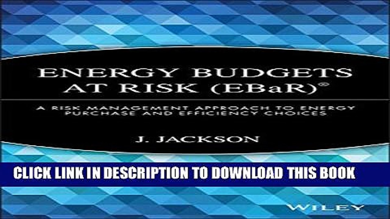 [PDF] Energy Budgets at Risk (EBaR): A Risk Management Approach to Energy Purchase and Efficiency