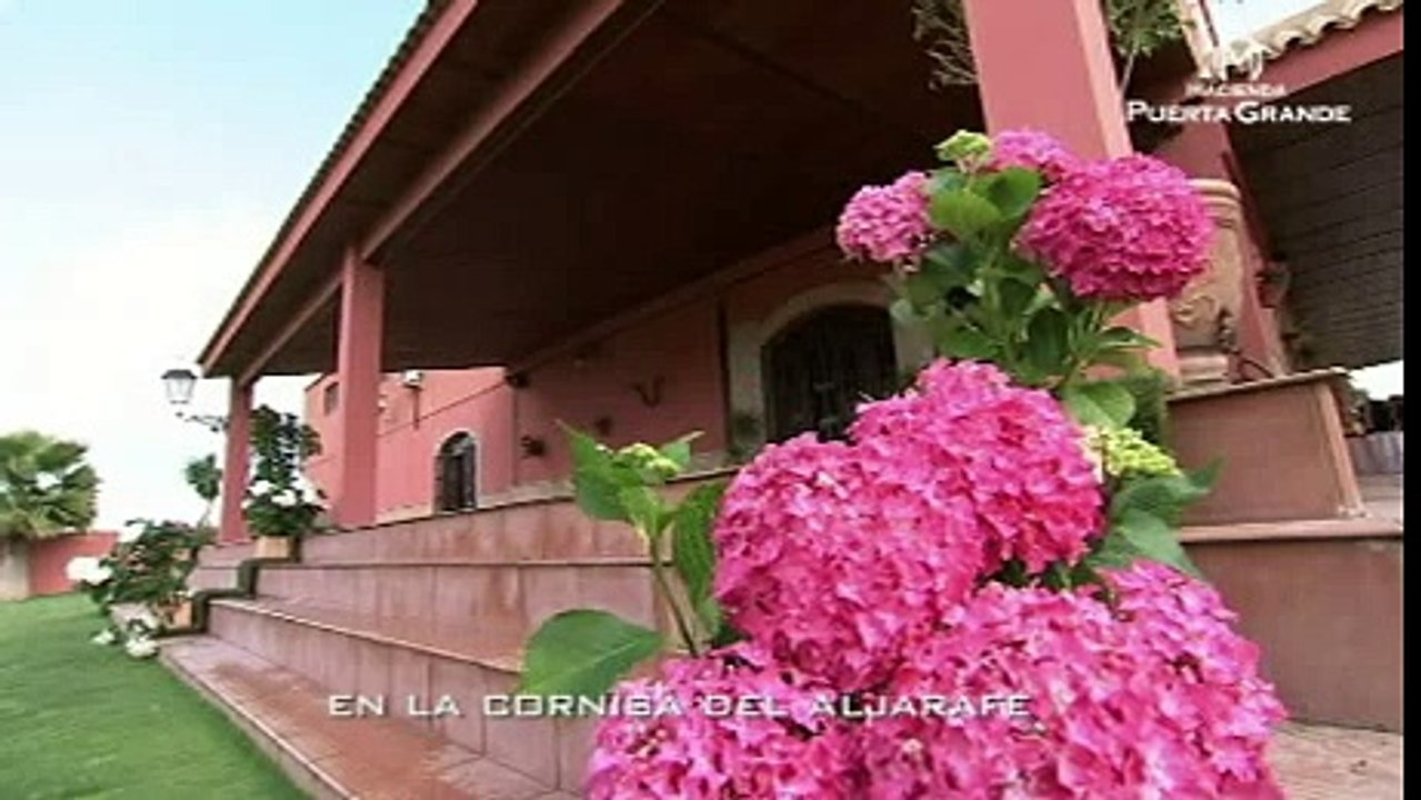 Hacienda para Bodas en Sevilla   Hacienda Puerta Grande