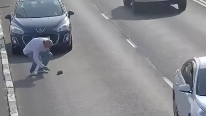 Sur une autoroute, un chaton sauvé par un conducteur