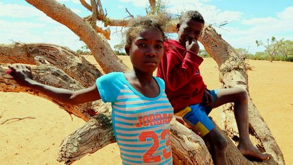 A Madagascar, la sécheresse menace la sécurité alimentaire
