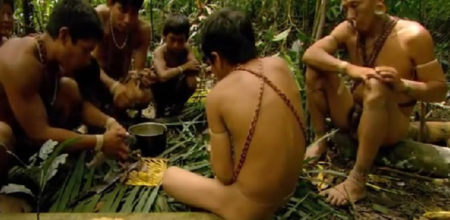 Documentary - panorama of human life and animals in the Amazon