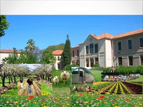 CultureSciences - Une approche itinérante de l'agriculture urbaine européenne, source d'idées pour l'avenir des villes