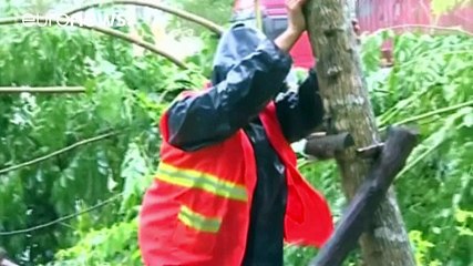 Super-typhon Meranti en Chine : 10 morts, nombreux dégâts