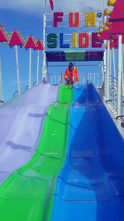 Pup having fun on SLIDE