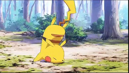 Pokémon Générations - Épisode 1 - L’aventure