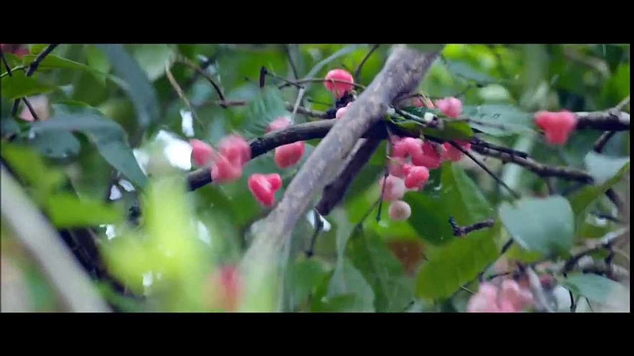 Oru Muthashi Gadha- Thennal Nilavinte Song