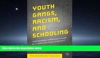 Popular Book Youth Gangs, Racism, and Schooling: Vietnamese American Youth in a Postcolonial