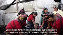 Guatemalan farmers in indigenous towns fight climate change