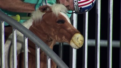 World’s First Freestyle Rocking Horse – Dusty Wygle