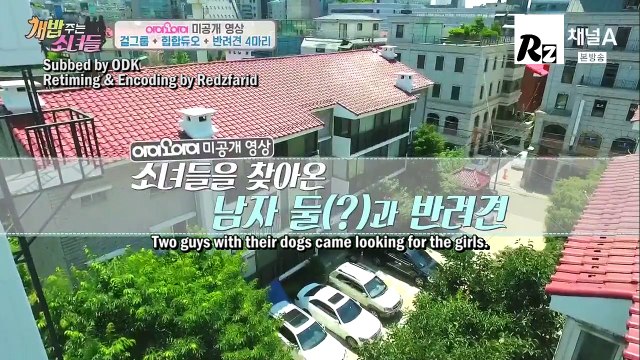 [ENG SUB] The Man Who Feed The Dogs E38 IOI Cuts