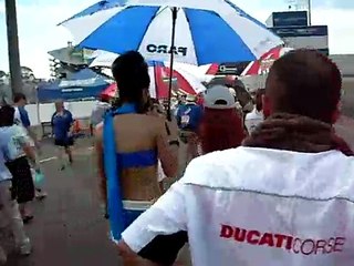 UMBRELLA GIRLS SUZUKA 8 HOURS