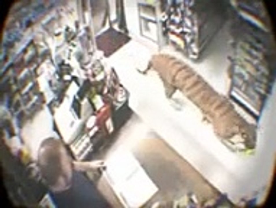 Un client inhabituel au magasin fait fuire tout les clients