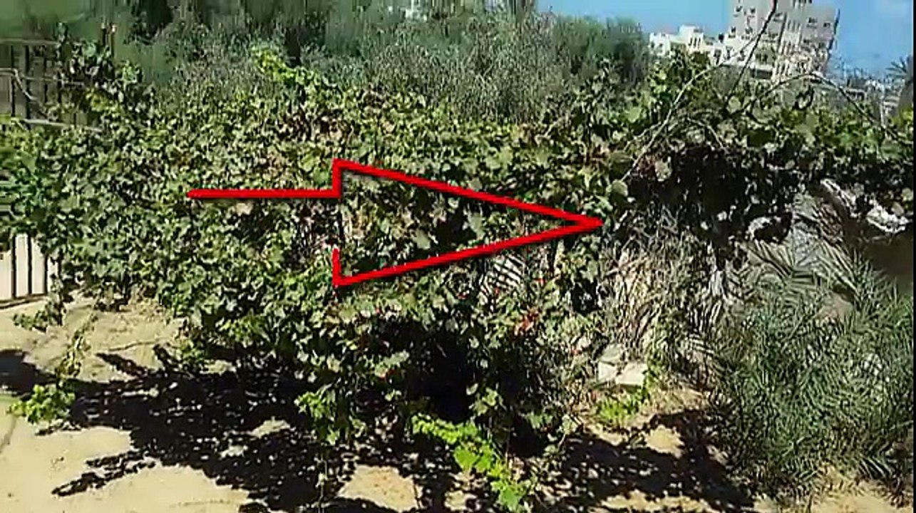 منزل للبيع مساحة البناء 150 متر على قطعة ارض 300 طابو غرب النصيرات