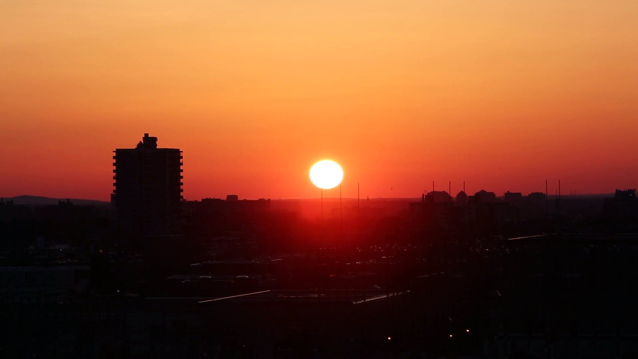 Birds Flying At Sunset
