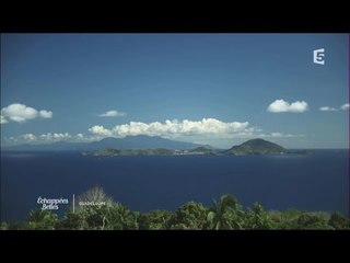 Guadeloupe, l'île de coeur - Echappées belles