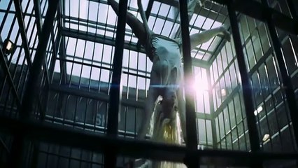 Suicide Squad - Harley Quinn ALL SEXY scenes [HD] -