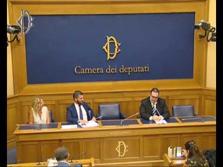 Roma - Conferenza stampa di Walter Rizzetto (15.09.16)